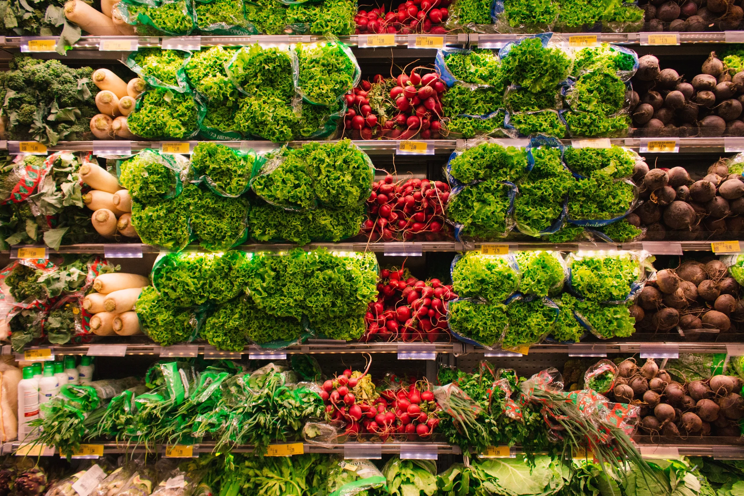 Organic & Natural Shopping Lifestyle