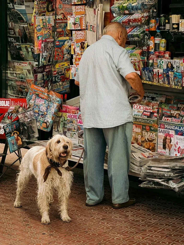 Pet Store Editorial Article Ecommerce Product Guide Shopping Story Premium Store Lifestyle