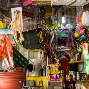 Pet Store Store Product Display