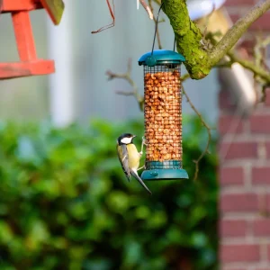 Bird Supplies online store