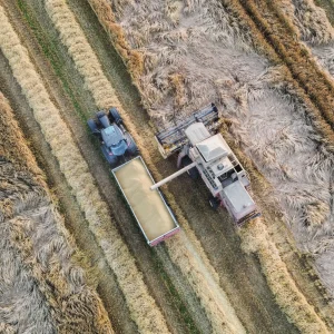 Farm Supplies online store