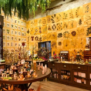 Indoor Plants alternate store layout