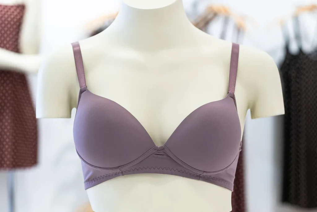 Lingerie Store online store