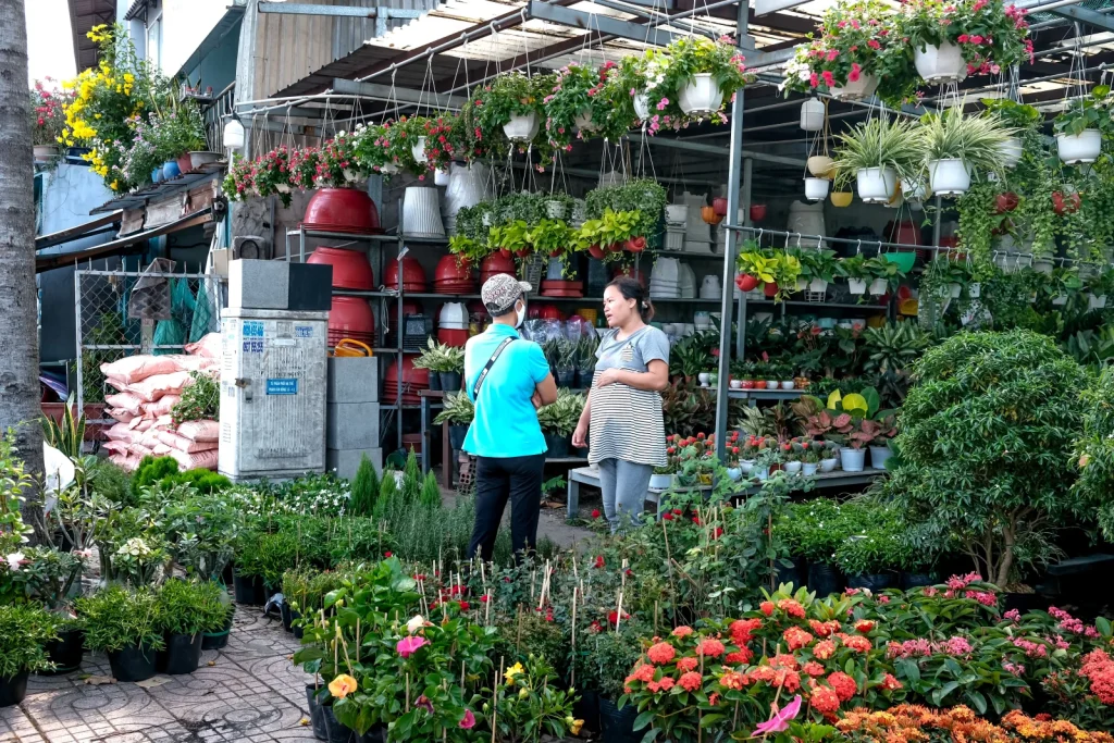 Outdoor Plants online store