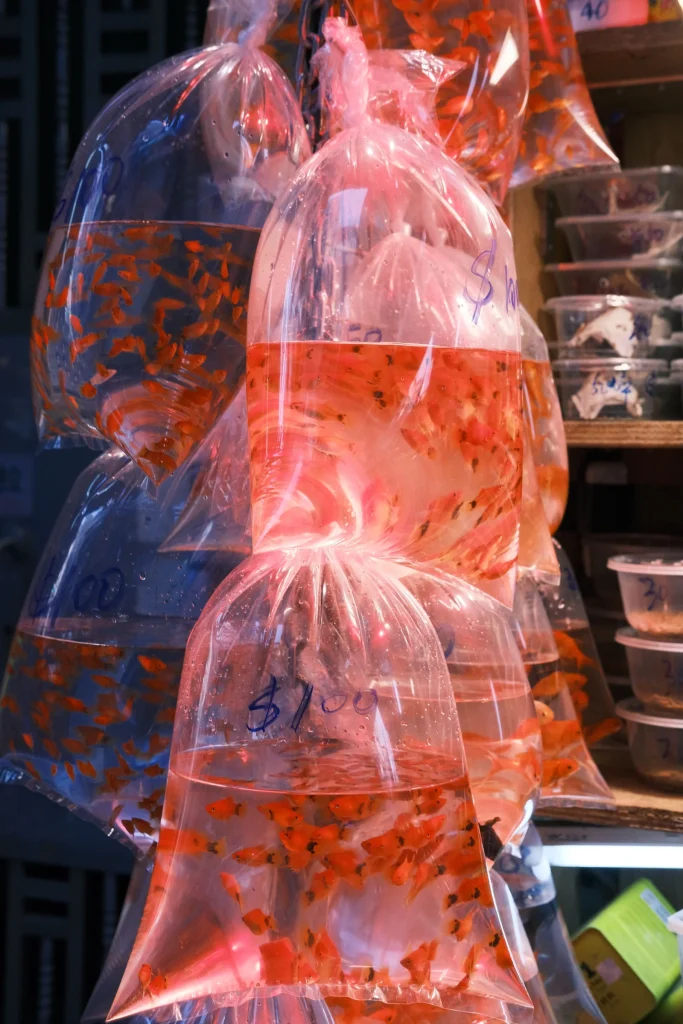 Aquarium Store premium slider image