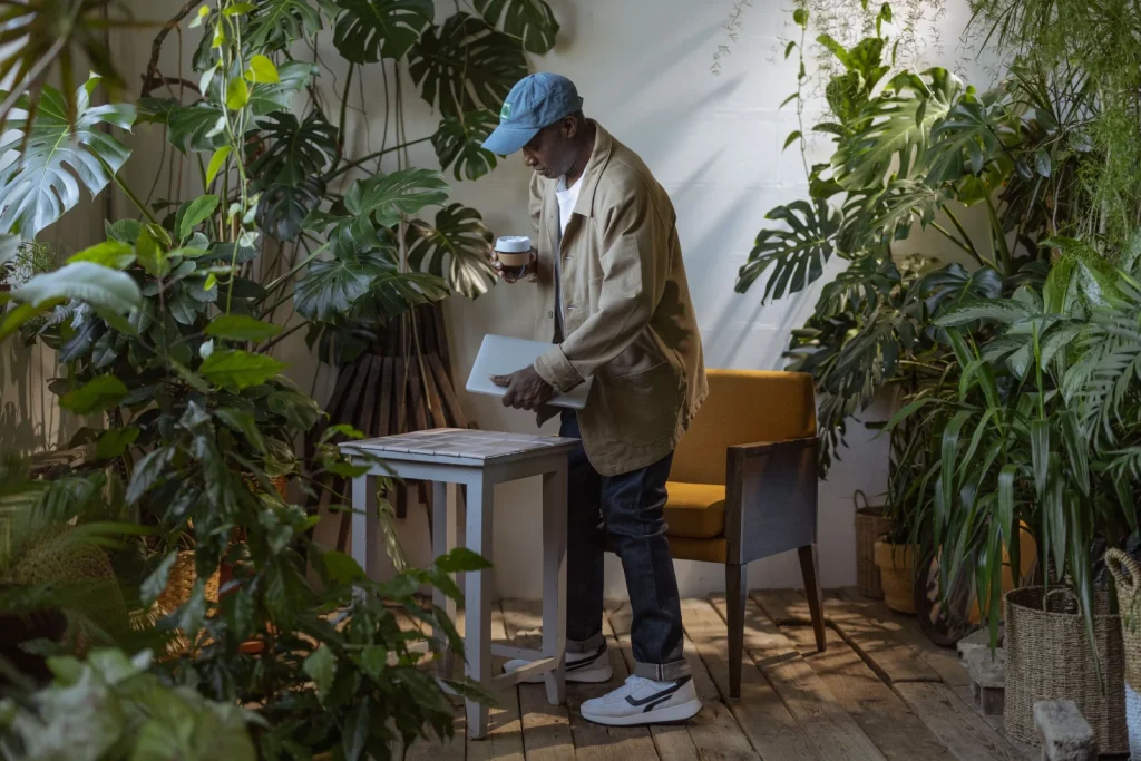 Indoor Plants premium slider image