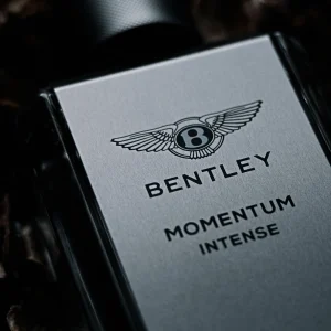Luxury Fashion premium slider image