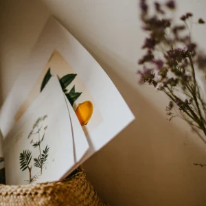 Art Prints premium product image