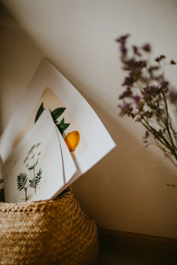 Art Prints premium product image