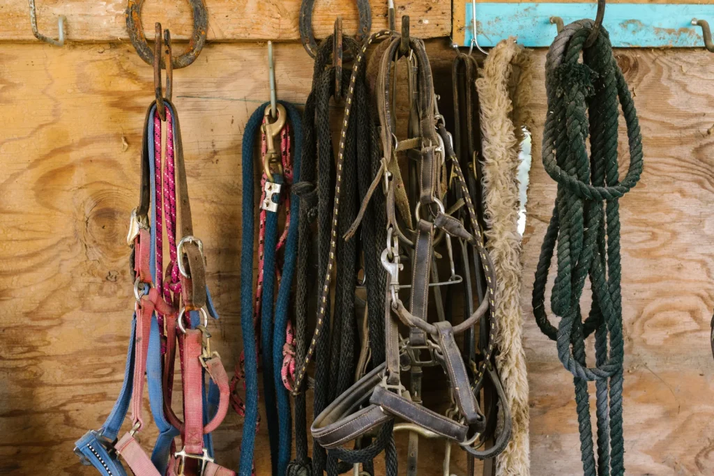 Horse Supplies premium product image
