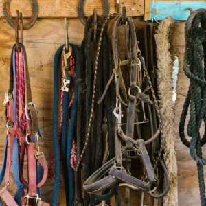Horse Supplies premium product image
