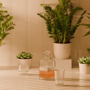 Indoor Plants premium product image