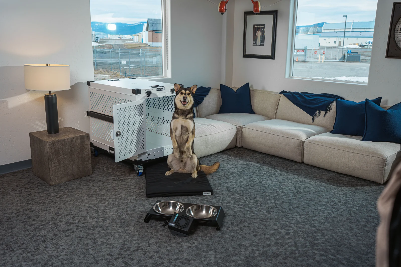 Pet Marketplace premium product image