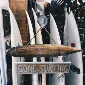 Surf Store premium product image