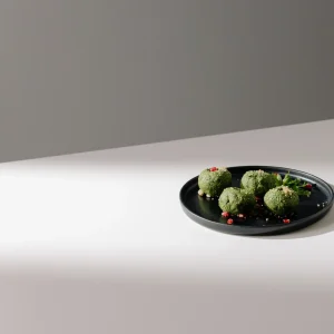 Vegan Foods premium product image