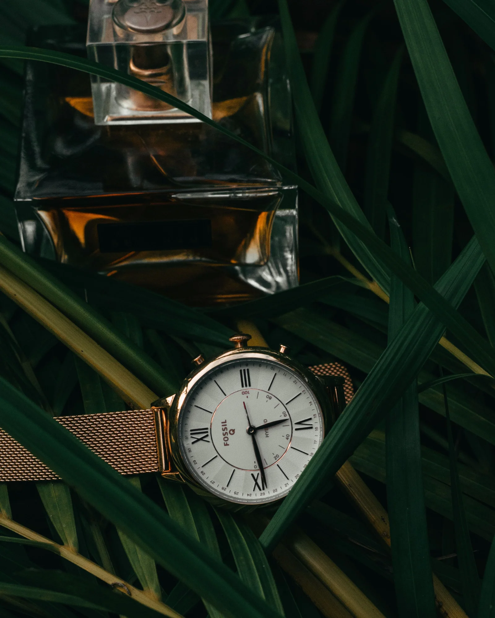Vintage Fashion premium product image