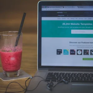 WordPress Plugins premium product image