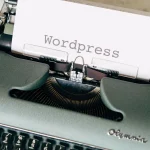 WordPress Themes premium product image