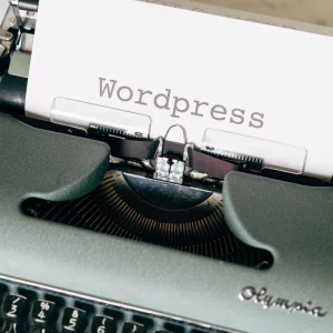 WordPress Themes premium product image