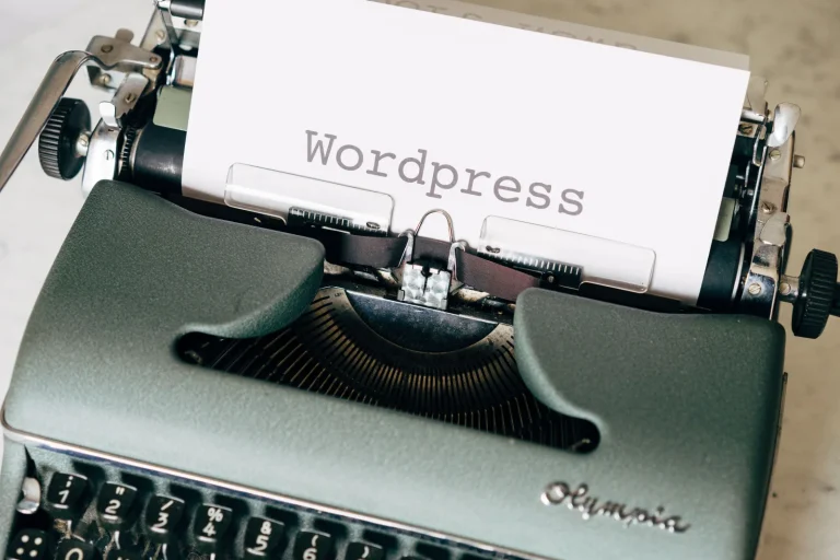 WordPress Themes premium product image