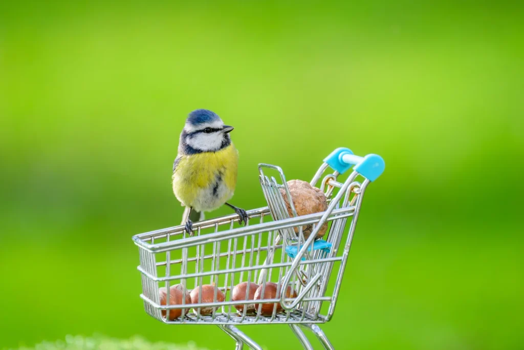 Bird Supplies premium slider image