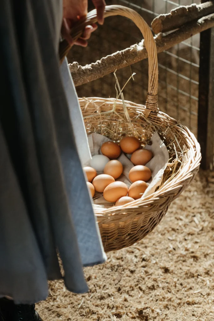 Farm Supplies premium slider image
