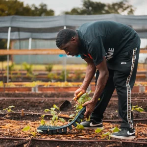 Gardening Tools premium slider image