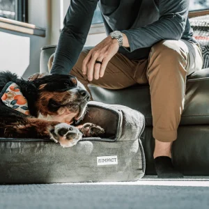 Dog Boutique premium slider image