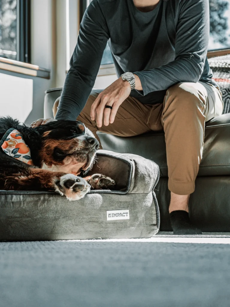 Dog Boutique premium slider image