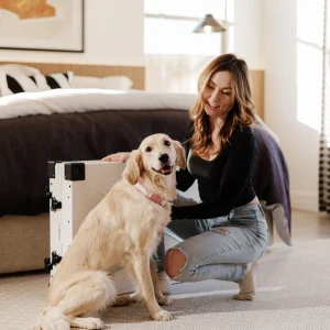 Dog Boutique premium slider image