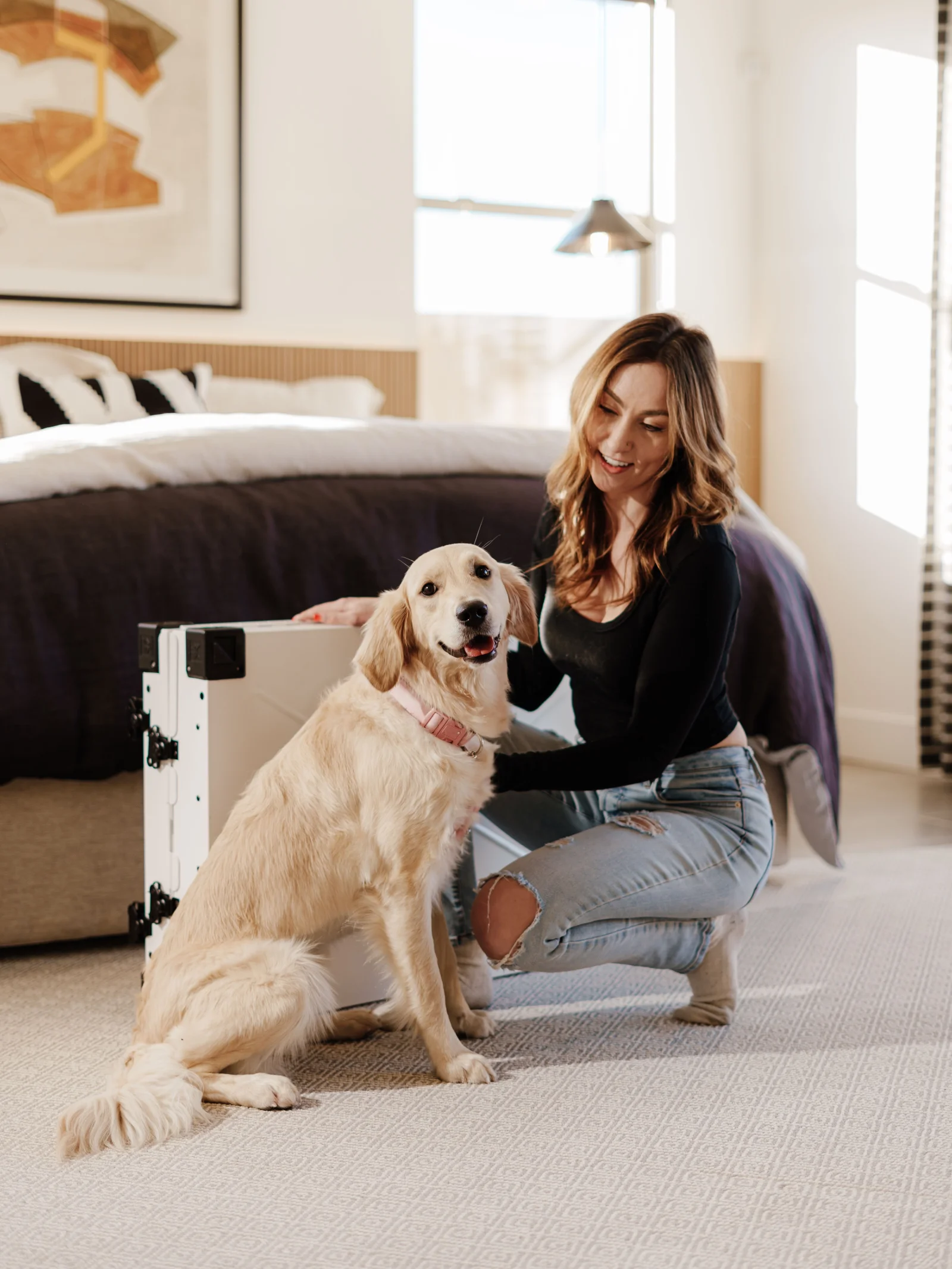 Dog Boutique premium slider image