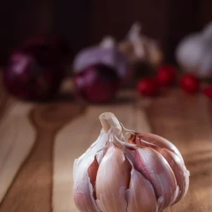 Seeds & Bulbs premium slider image