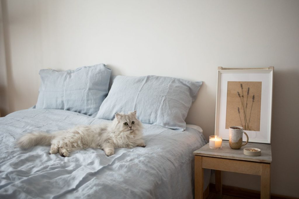 A furry white cat lounging on a cozy bed with soft lighting and candles, creating a peaceful atmosphere.