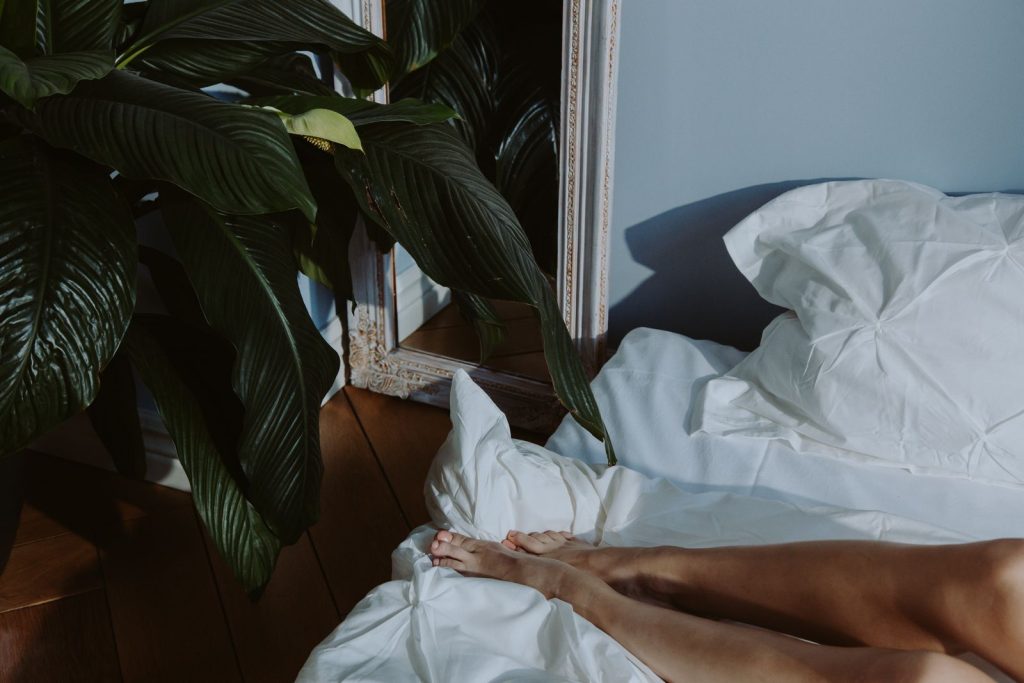 Cozy bedroom setting with white linens and lush green plant creating a peaceful atmosphere.