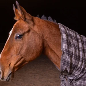 Portrait of a chestnut horse in a plaid blanket at night