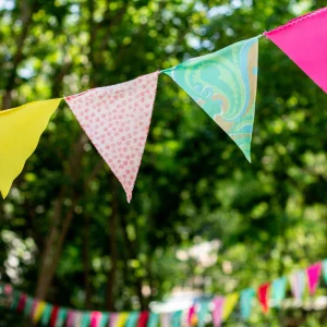 Colorful bunting flags in outdoor setting