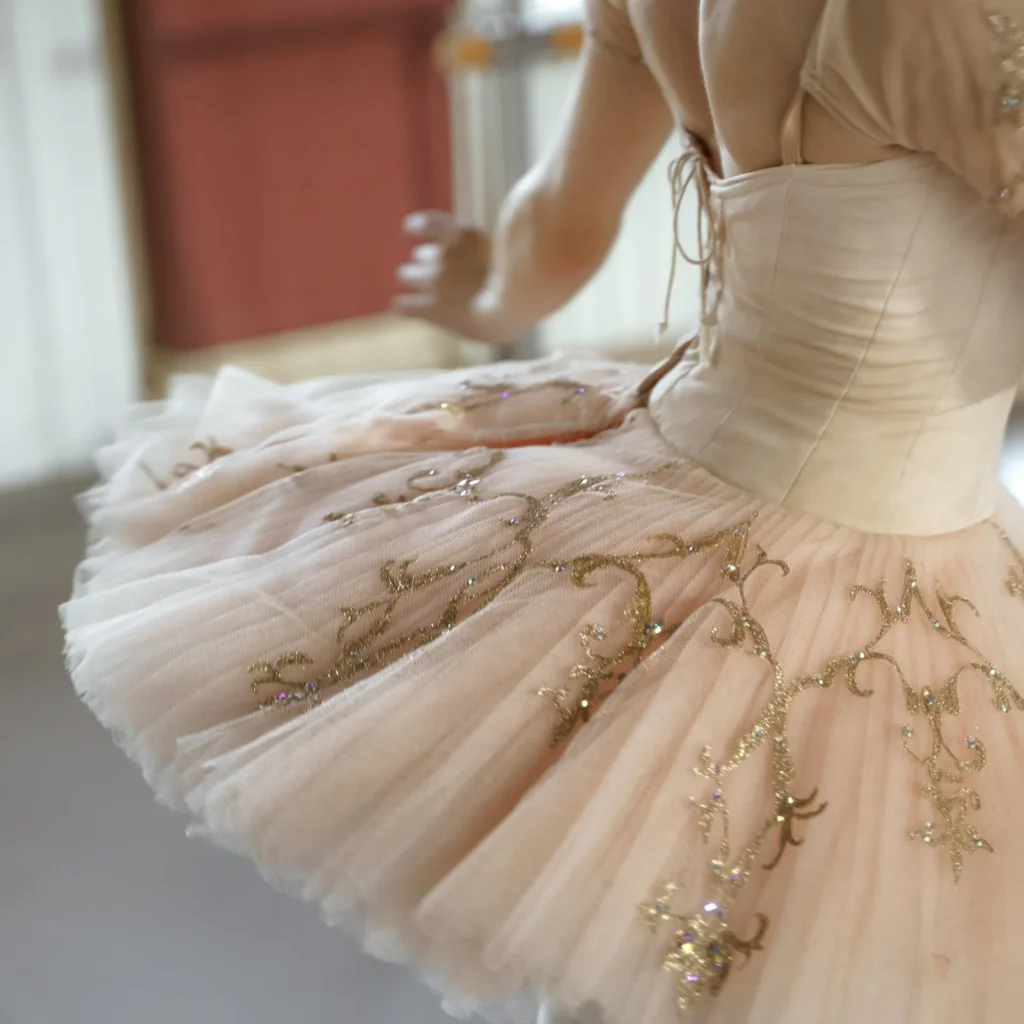 Dancewear Laundry service imagery