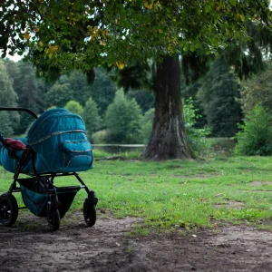 Stroller standing under tree