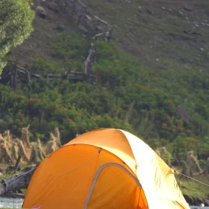 Bright orange tent in picturesque outdoor setting