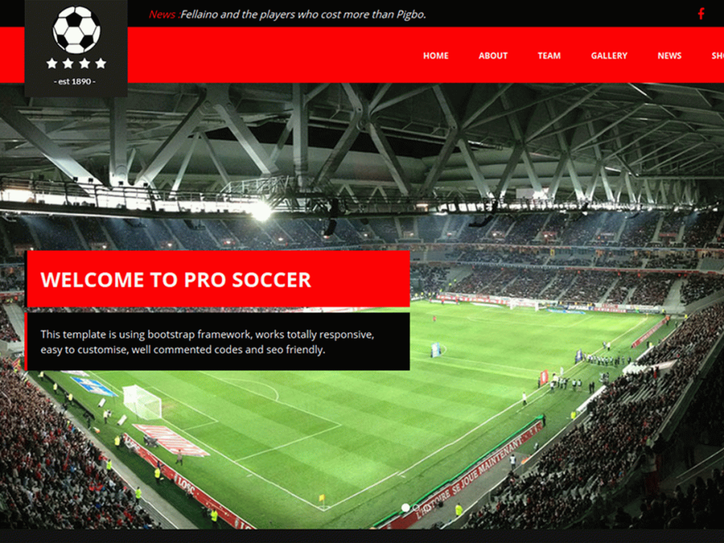 Pro Soccer Football Club WordPress Theme
